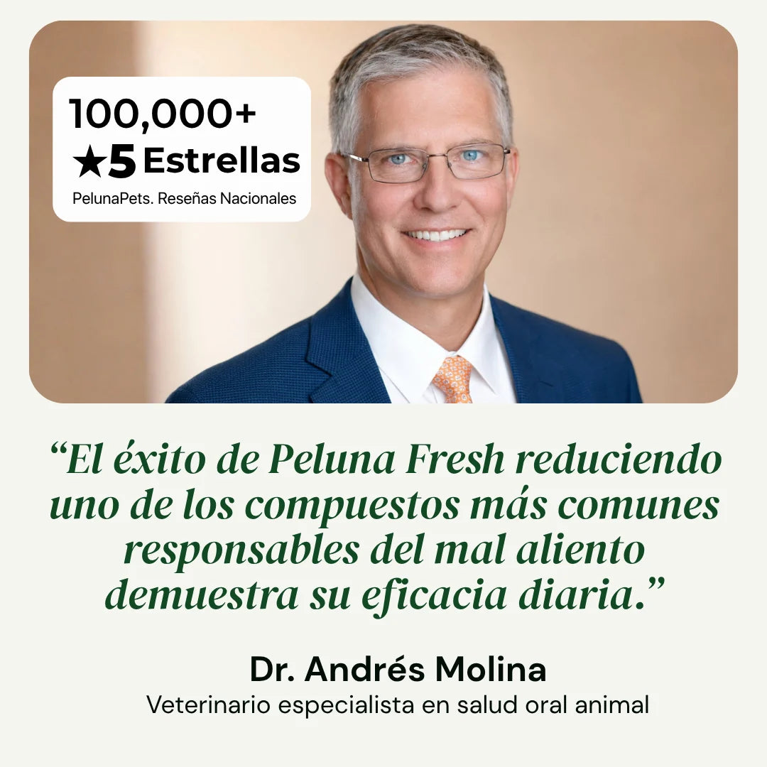 Peluna Pets Fresh | Aditivo Dental para Gatos