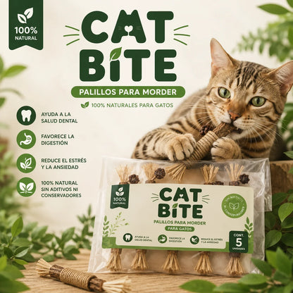 CatBite™ Pack de Stickers Dentales